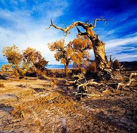 《地下城与勇士：决斗》发布新角色宣传片 格斗家登场